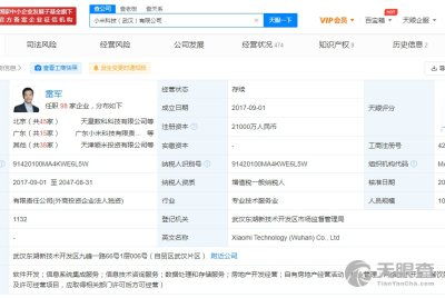 小米信息技术武汉有限责任公司 引领江城信息技术咨询服务新浪潮