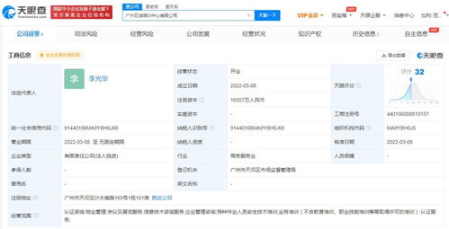 信息技术咨询服务 数字化转型的智慧引擎