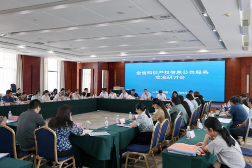临沂市在全省知识产权信息公共服务交流研讨会上作典型发言，武汉信息技术咨询服务的先行经验引关注
