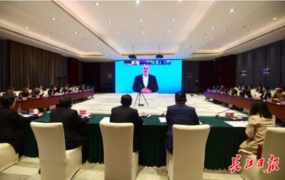 看好中德产业园发展,德资企业纷纷推介武汉
